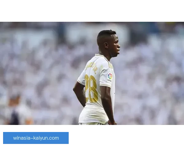 维尼修斯的技术短板与改进